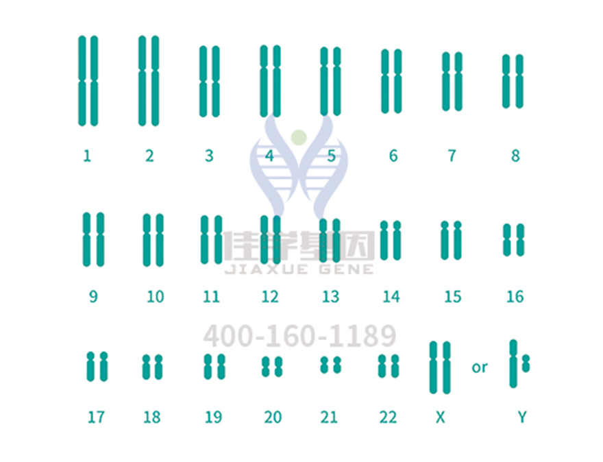 <b>【佳学基因检测</b>